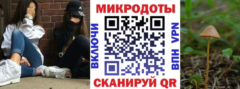 Купить закладки  Лермонтов  Галлюциногенные грибы MAGIC MUSHROOMS 